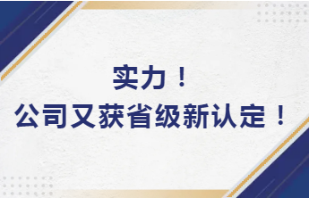 實(shí)力！公司又獲省級新認(rèn)定